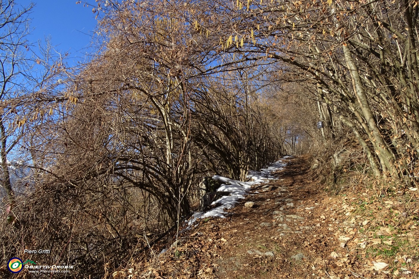 10 Lascio la strada agrosilvopastorale  per seguire il sentiero.JPG